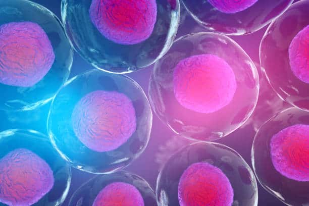 Accelerating Gene Therapy: How Single-Use Technologies Drive Success in the Post-COVID World ?