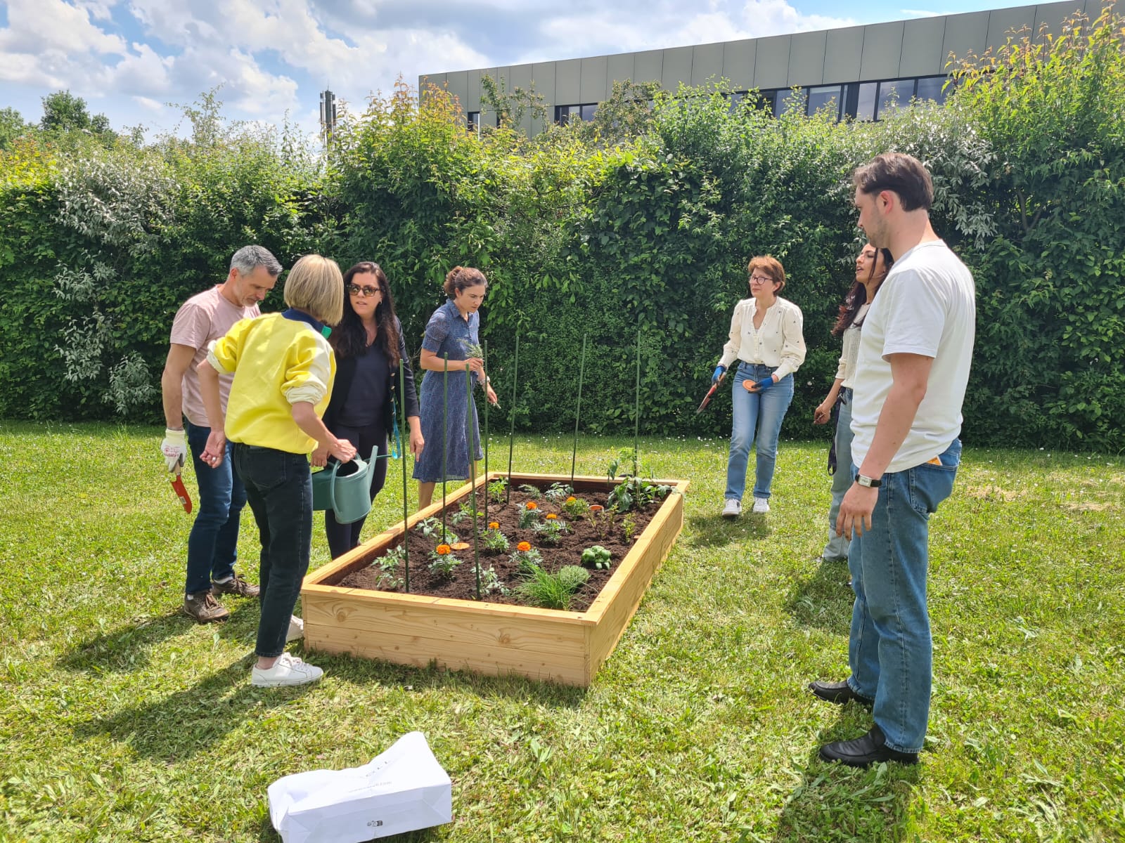 creating a vegetable garden
